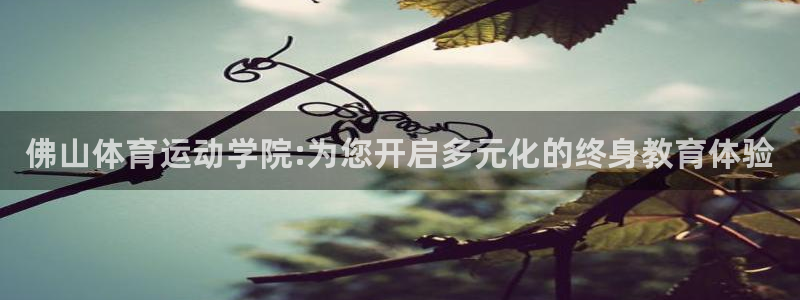 凯发官网下载：佛山体育运动学院:为您开启多元化的终身