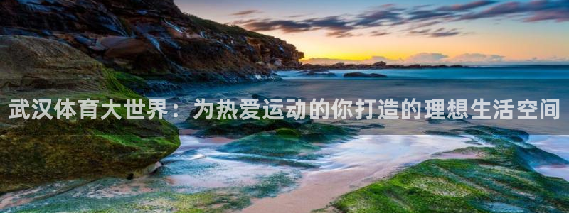 凯发官网下载平台假的吗是真的吗吗：武汉体育大世界：为