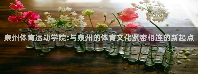 凯发官方正版app神州：泉州体育运动学院:与泉州的体