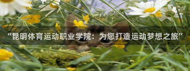 凯发官方集团官网：“昆明体育运动职业学院：为您打造运