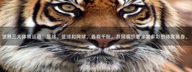 凯发官网下载娱乐：世界三大体育运动：足球、篮球和网球