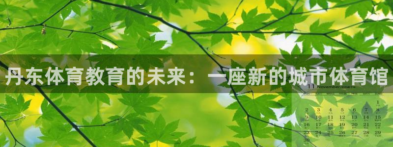 凯发官方正版app集团简介：丹东体育教育的未来：一座