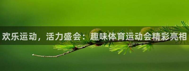 凯发官网下载平台假的吗是真的吗吗：欢乐运动，活力盛会