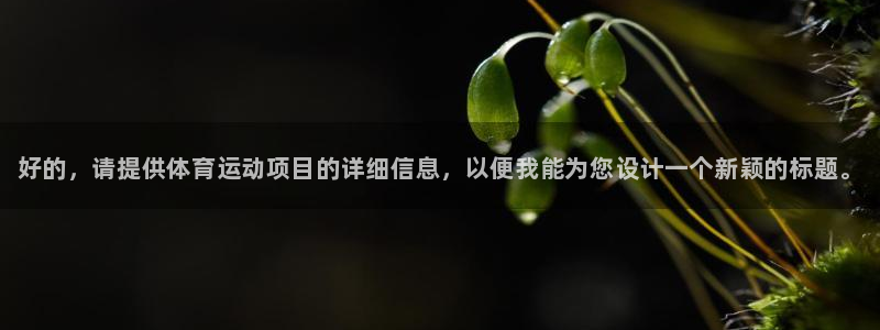 凯发官网下载平台注册流程图：好的，请提供体育运动项目