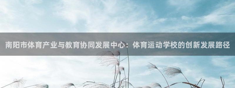 凯发官方正版app集团简介：南阳市体育产业与教育协同