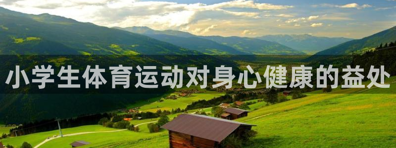 凯发官网下载招商：小学生体育运动对身心健康的益处