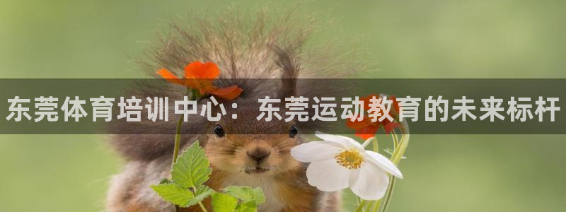 海南凯发官网下载：东莞体育培训中心：东莞运动教育的未