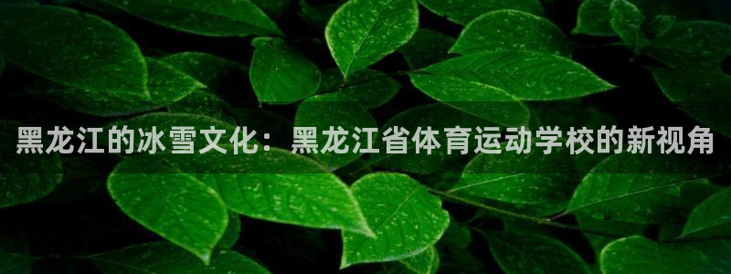 凯发官方正版app集团官网网址：黑龙江的冰雪文化：黑