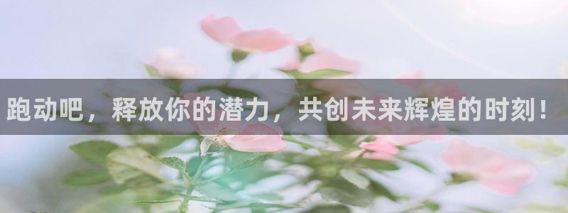 凯发官方正版app集团简介：跑动吧，释放你的潜力，共