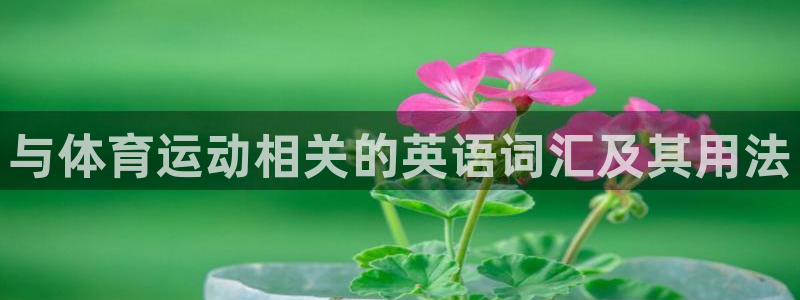 凯发官方正版app娱乐平台：与体育运动相关的英语词汇及其用法