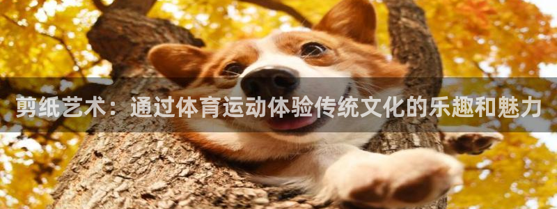 海南凯发官网下载：剪纸艺术：通过体育运动体验传统文化