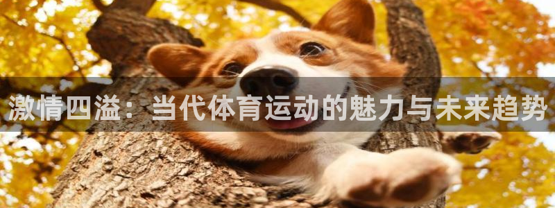 凯发官方正版app集团官网首页网址：激情四溢：当代体