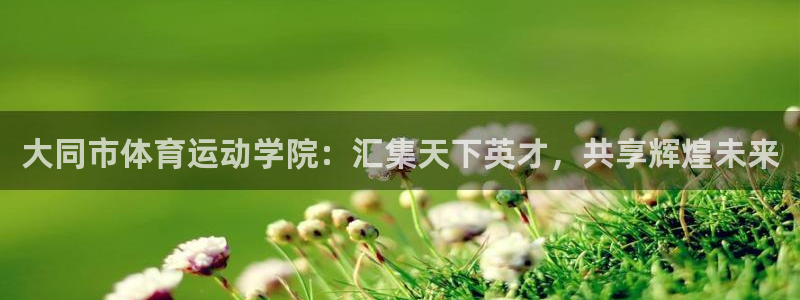 凯发官网下载平台假的吗是真的吗吗：大同市体育运动学院