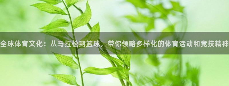 凯发官网下载招商：全球体育文化：从马拉松到篮球，带你