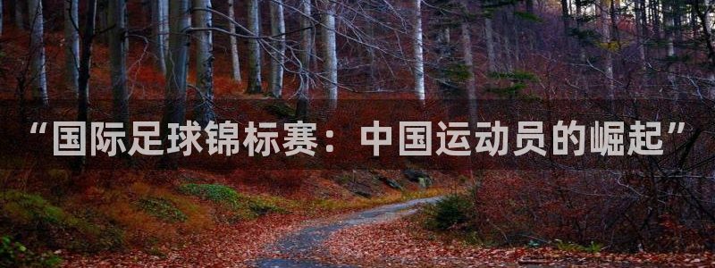 凯发官网下载平台注册要钱吗安全吗：“国际足球锦标赛：