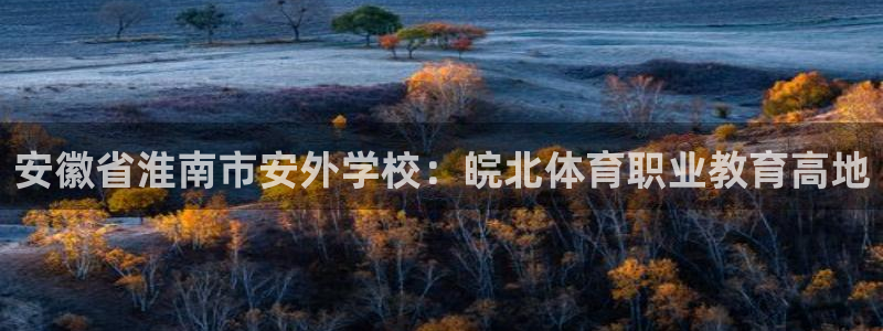 凯发官方正版app神州：安徽省淮南市安外学校：皖北体