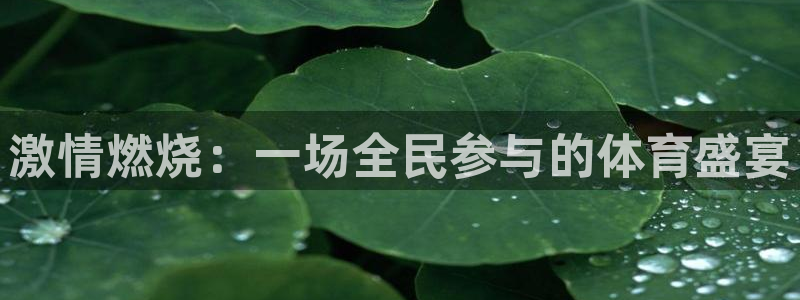 凯发官网下载平台是正规平台吗知乎：激情燃烧：一场全民