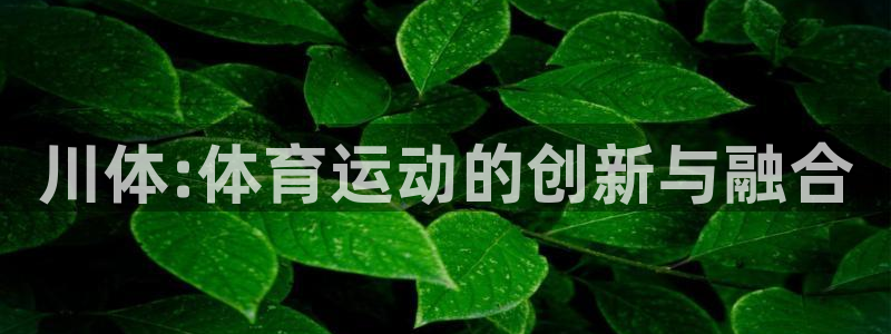 凯发官网下载平台注册流程图：川体:体育运动的创新与融