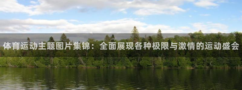 凯发官方正版app集团：体育运动主题图片集锦：全面展