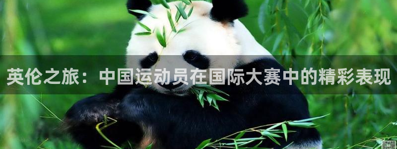 凯发官网下载招商电话号码