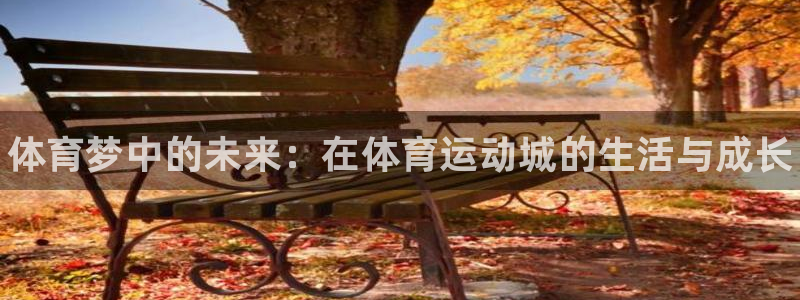 凯发官方正版app娱乐：体育梦中的未来：在体育运动城的生活与