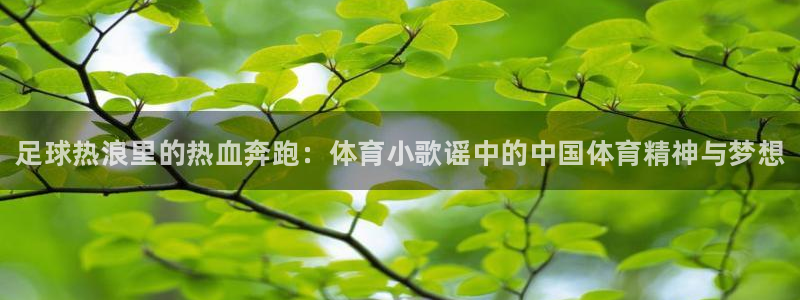 凯发官网下载招商电话地址：足球热浪里的热血奔跑：体育
