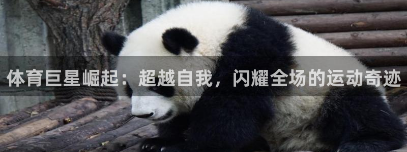 凯发官网下载招商电话号码是多少啊：体育巨星崛起：超越