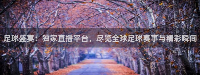 新球体育直播：足球盛宴：独家直播平台，尽览全球足球赛事与精彩瞬间