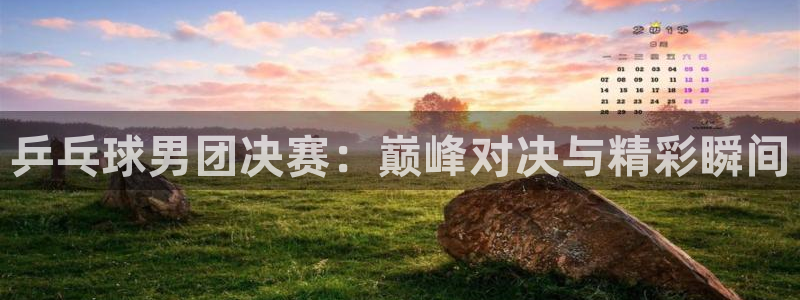 新球体育篮球比分：乒乓球男团决赛：巅峰对决与精彩瞬间