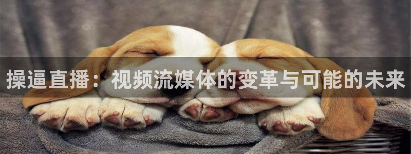 新球网直播：操逼直播：视频流媒体的变革与可能的未来